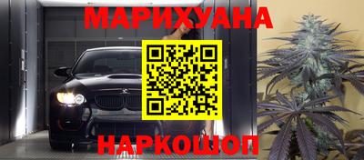 сатива Славгород