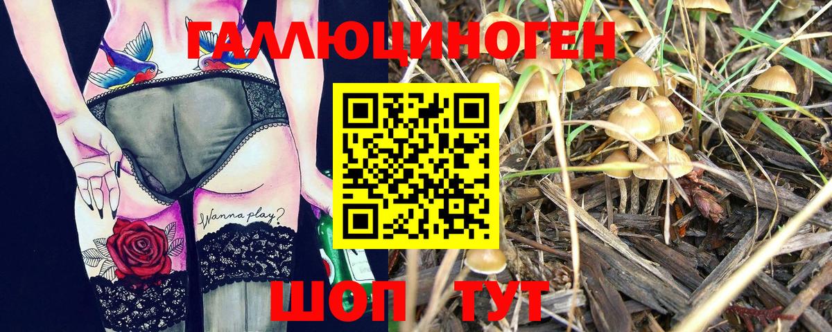 Псилоцибиновые грибы Psilocybine cubensis Ростов-на-Дону